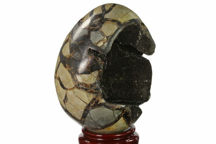 Septarian Dragon Egg Geode - Black Crystals #137945